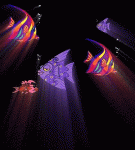 Animación peces.gif