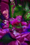 flor 7.jpg