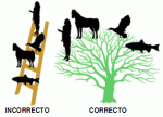 arbol.gif