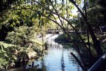 club comfama lago puente--..JPG