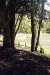 foto que tomè a  paisaje.JPG