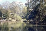 Comfama hermoso lago tomè foto.JPG