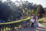 Comfama tomè foto a visitantes en el parque.JPG