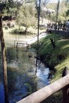 Comfama lago y paseantes--.JPG