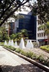 Medellìn avenida el Poblado edificios---.JPG