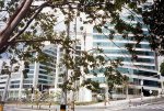Nuevo proyecto en el Poblado(Medelin).JPG