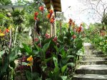 jardìn parque ecòlogico El Salado-.JPG