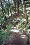 En Parque El Salado.JPG