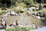 charco en el parque el Salado.JPG
