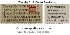 timoteo.png