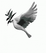 tenor(0).gif