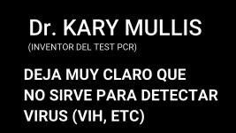 MAL USO PCR.png