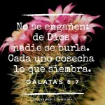 620535b9e2aedaf3c006cd1bc4d3187b.jpg