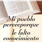 Mi-Pueblo.jpg