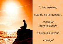 El-coleccionista-de-insultos.jpg.png