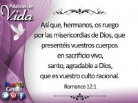 DmQV2jxUUAIfPq-.jpg DmQV2jxUUAIfPq-.jpg