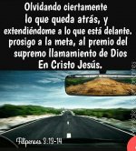 2a24e5c912d91fb004bfe372915d26b4.jpg