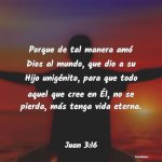 36dcd524971019336af02550264b8a08.jpg