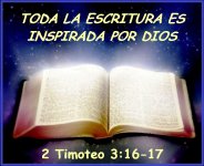 2-tim-316.jpg