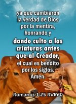 c98c1581104eb6a2d595cbac1b5ec3b3.jpg