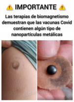 1621611033971.png