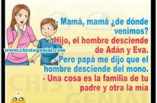 aaa86b1a6ed340a3bbda3af357f4e668.jpg
