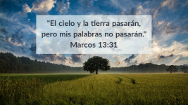 marcos-13.31-1.png