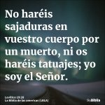 levitico-capitulo-19-versiculo-28-las-americas.jpg