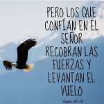 tumblr_neorzwNg4N1tv78lbo1_640.jpg