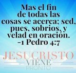 1pedro47.jpg