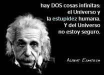 2016_03_16_No_89-einstein.jpg