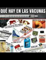 qué tienen las vacunas.jpeg