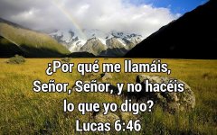 32f04ef0ecffc0bec701791569a43420(0).jpg