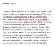 jeremias 31 31.jpg