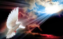 14-149942_dove-wallpaper-hd-holy-spirit-dove-background.jpg 14-149942_dove-wallpaper-hd-holy-spirit-dove-background.jpg