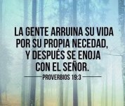 f8b3874a1ab993edb84f428a6cd5e288.jpg