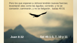 yuk54h5uw3najl6wpafwcchhel6jc3sachvcdoaizecfr3dnitcq_3_0.png yuk54h5uw3najl6wpafwcchhel6jc3sachvcdoaizecfr3dnitcq_3_0.png