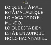 107d6cf8cb58ecf231a73513206e2de8.jpg