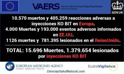 muertes-todas-15-mayo-small.jpg