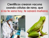 cientificos-crearon-vacuna-usando-celulas-de-rana-que-si-no-te-sana-hoy-te-sanara-manana-vvNPV.jpg