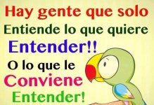 la-vida-185(0).jpg