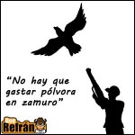 No-hay-que-gastar-polvora-en-zamuro.jpg