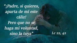 8439e7c64272bfd2dc95423b5e7097a3(0).jpg 8439e7c64272bfd2dc95423b5e7097a3(0).jpg