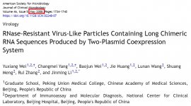 2008_journals.asm.org.jpg