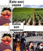 1628876882579.png