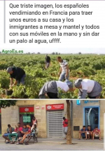 1629306379236.png