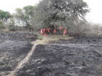 1630410522794.png 1630410522794.png