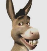 burro.jpg
