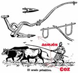 coces5.jpg
