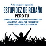 estupidez del rebaño.jpg